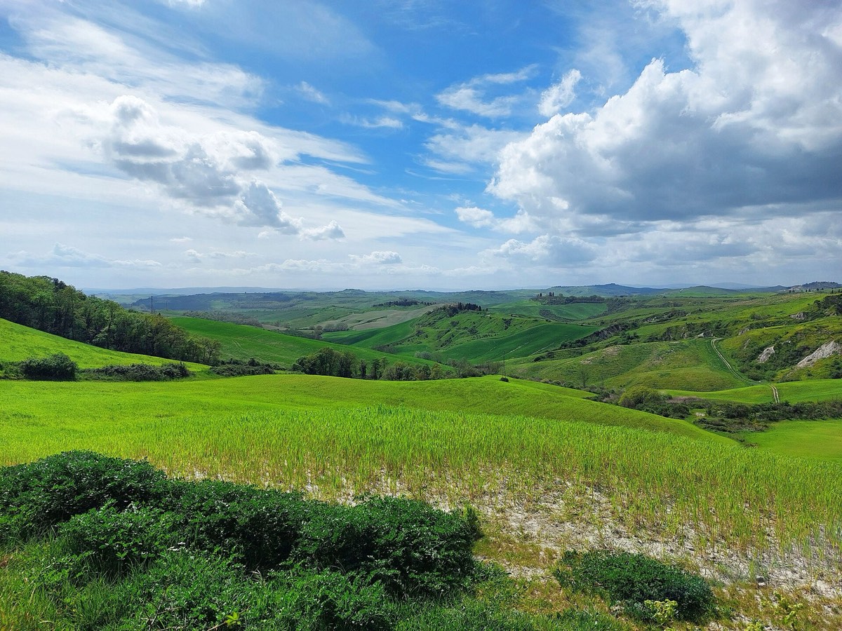 Rolling clay hills of the Crete Senesi in Tuscany